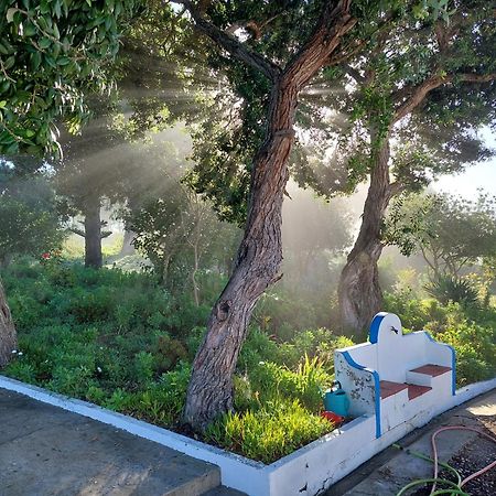 Herdade Amália Zambujeira do Mar Exterior foto
